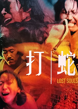 打蛇 / Lost Souls 1980电影封面图/海报